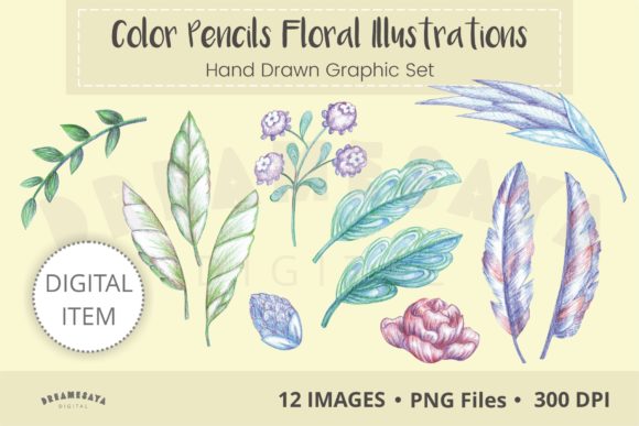 Color Pencil Floral Leaves Illustrations