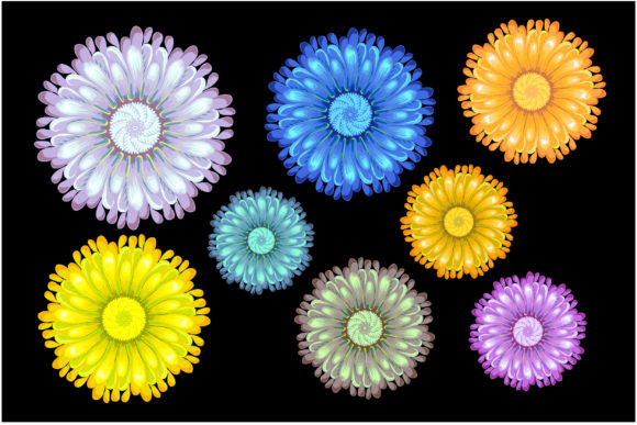 Colorful Daisy Flowers Set Vector for Creative Design