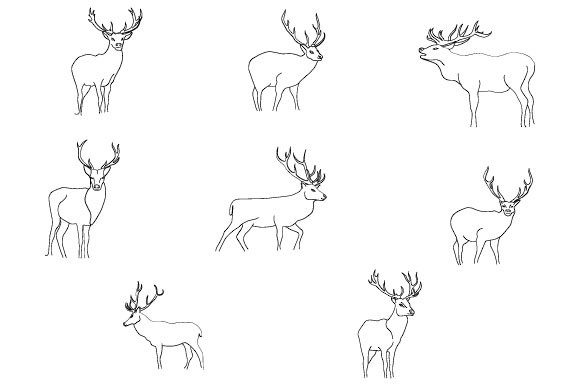 Deer Line Art Abstract Boho: A Comprehensive Guide to Versatile Hand-Drawn Design Elements
