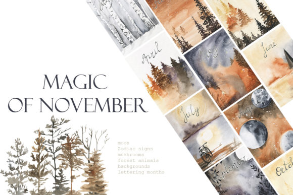 Magic of November