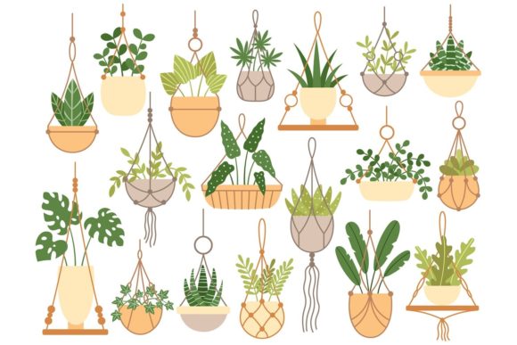 Plants in Hanging Pots: A Versatile Way to Add Greenery to Any Space