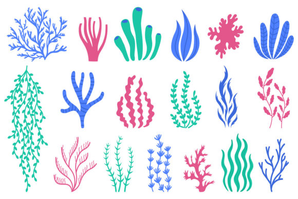 Sea Corals: Creative Assets for Design and Art