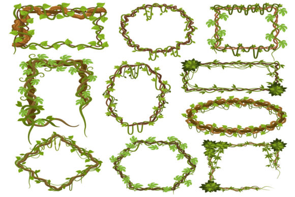 Transforming Visual Narratives with Liana Vines Frames